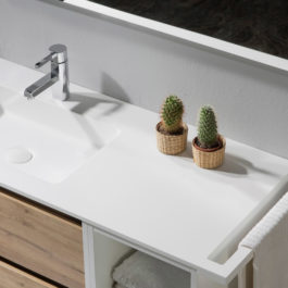 Decoración en tu baño: las mejores plantas